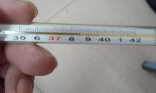女生怎么减肥最快最有效-女生如何减脂肪不减肌肉网 - 女人怎么减掉脂肪,女生怎么瘦